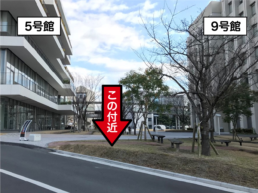 5号館外側道路寄りベンチ付近の写真